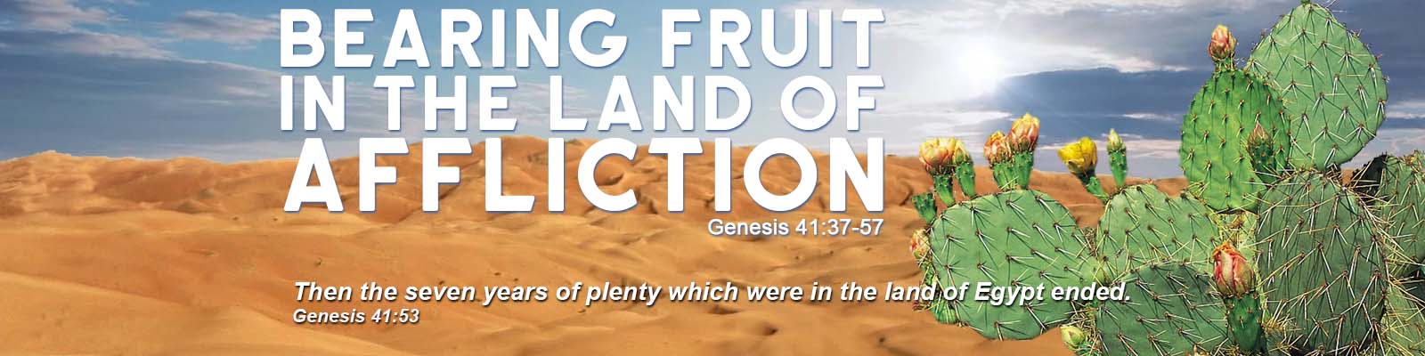 Genesis 41:37-57   –    Bearing Fruit in the Land of Affliction episode artwork
