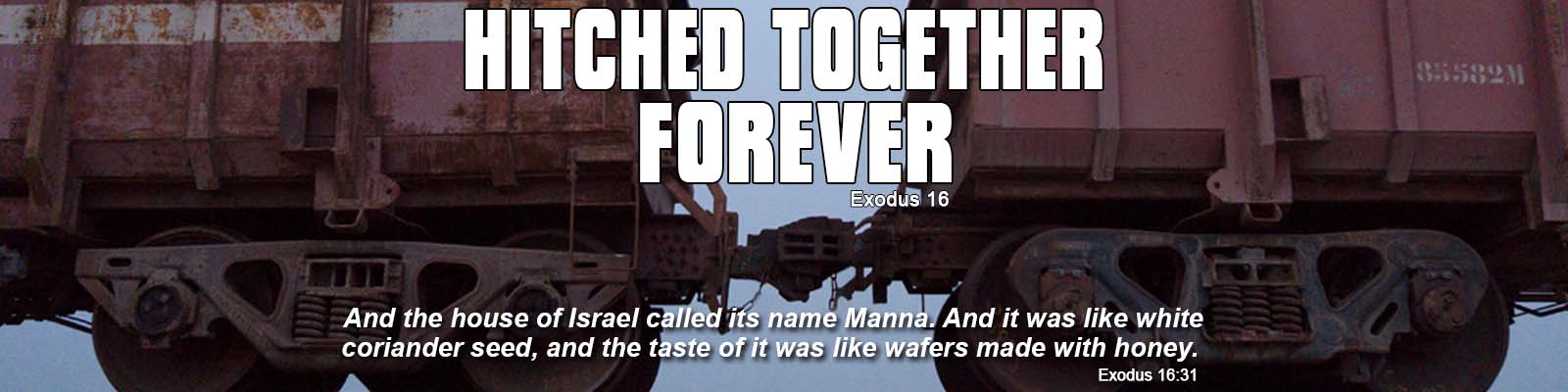 Exodus 16   –   Hitched Together Forever episode artwork